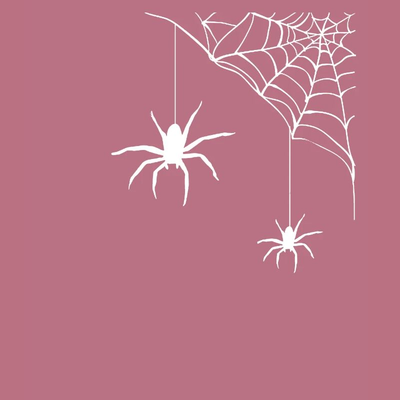 Spider - spider web
