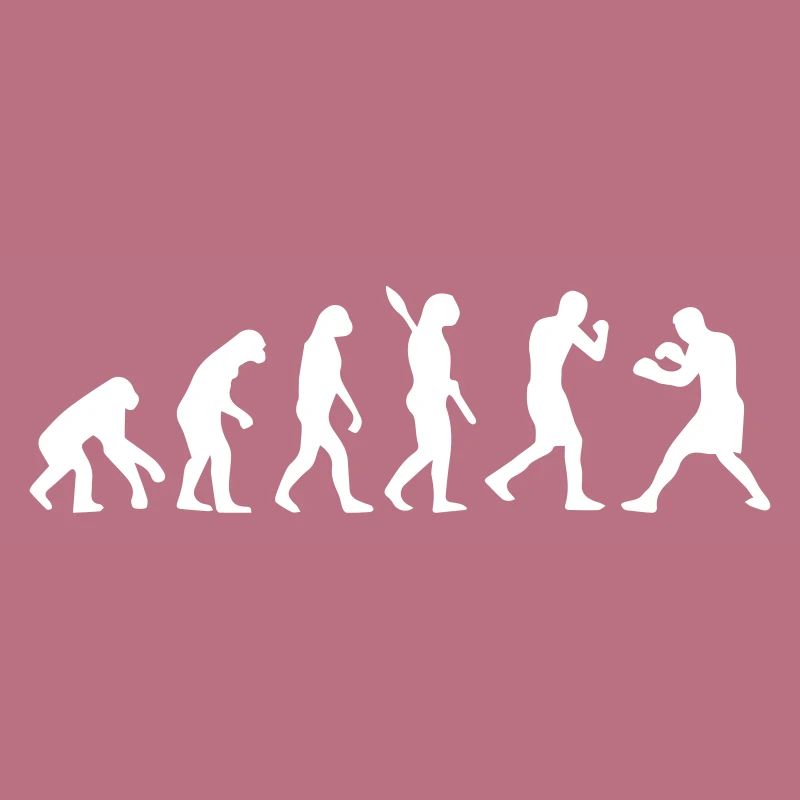 Evolution Boxing