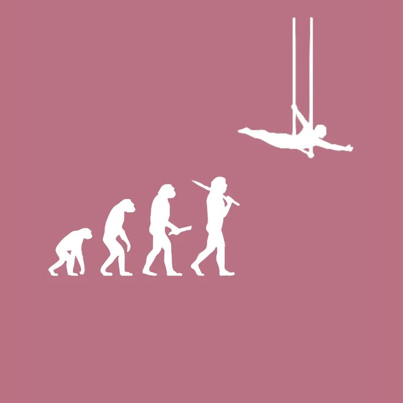 Evolution fliegendes Trapez Akrobat Geschenkidee
