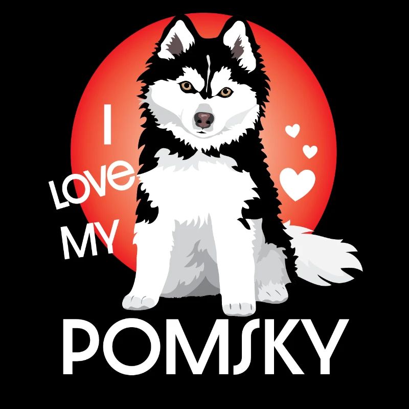 doux chien Pomsky, j’adore mon Pomsky
