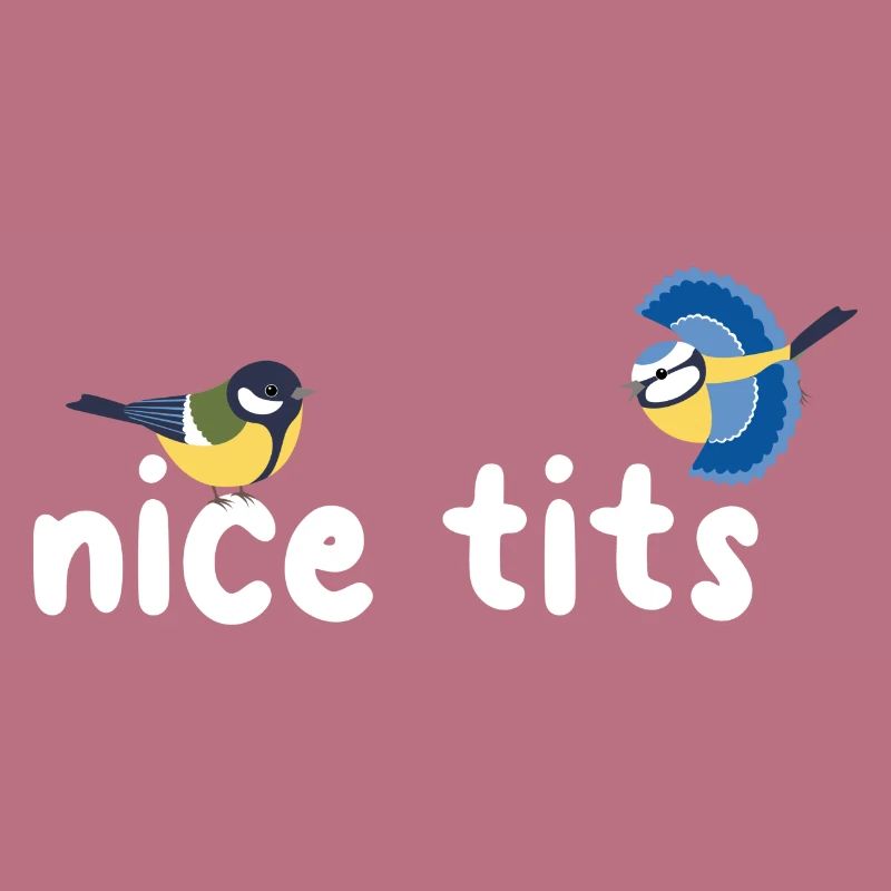 Nice Tits Blue Tit Great Tit