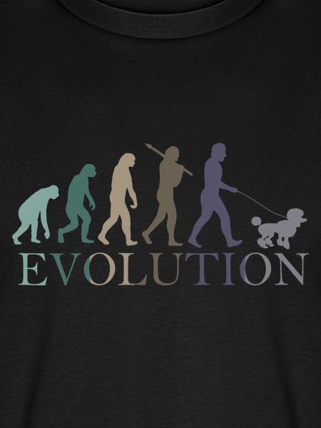 CANICHE ÉVOLUTION