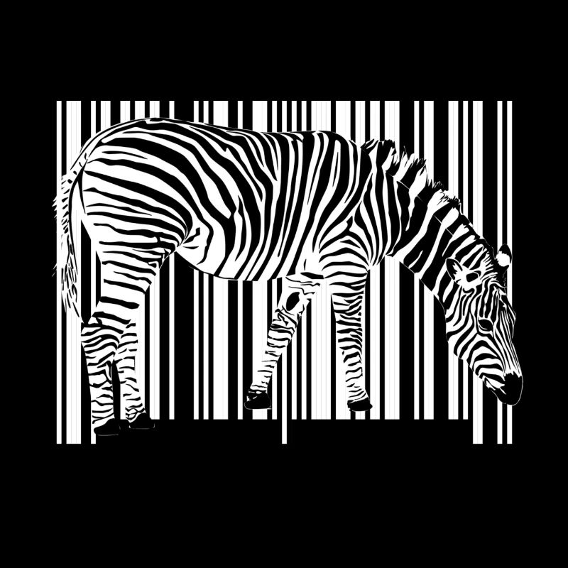 Zebra barcode