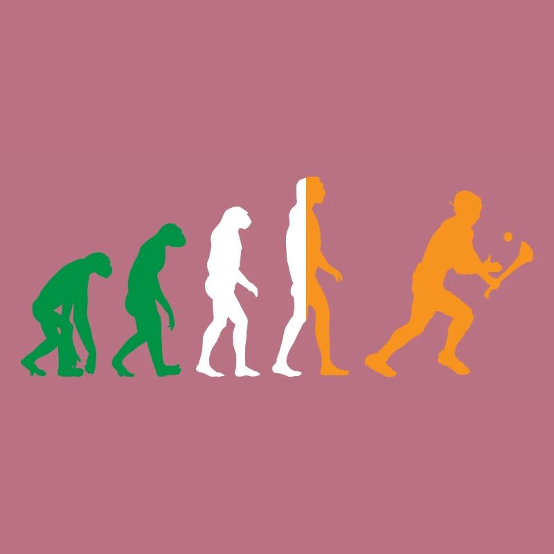 L’évolution du hurling