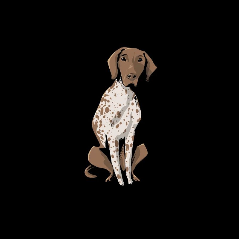 Deutsch Kurzhaar Jagdhund Hund Bild