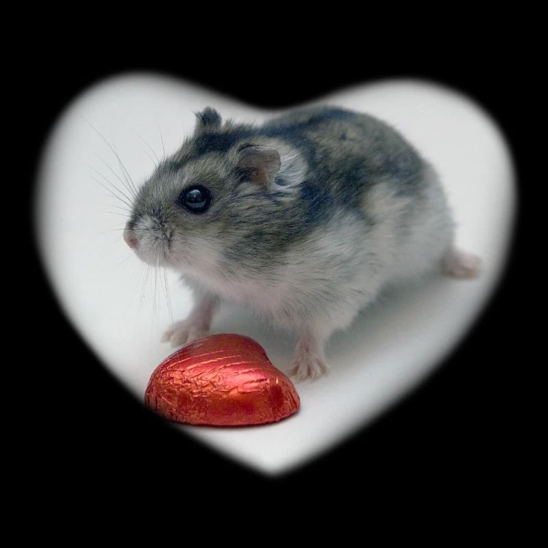 Hamster Herz