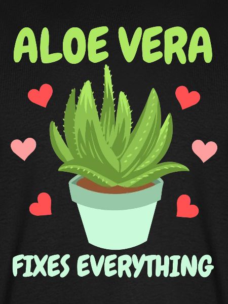 Aloe Vera Succulents