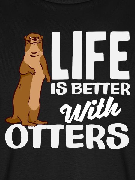 Seeotter Leben Besser