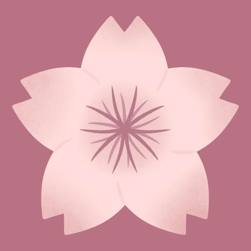 Blush Cherry Bloom