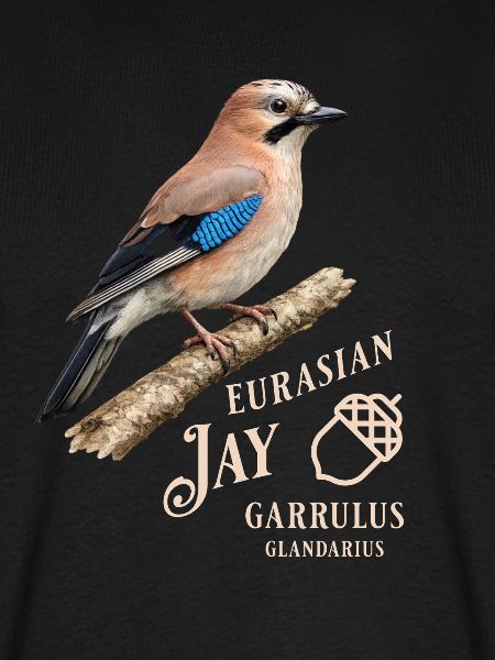 Eurasian Jay Eichelhäher Vogel Design