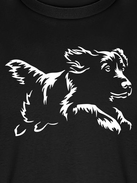 Boykin Spaniel "Black Edition"