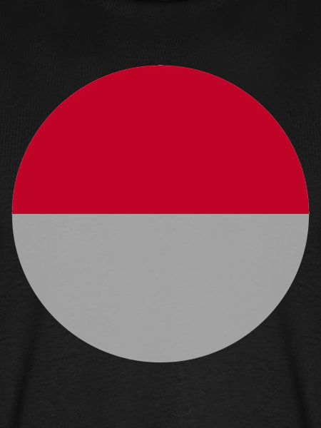Indonesische Flagge