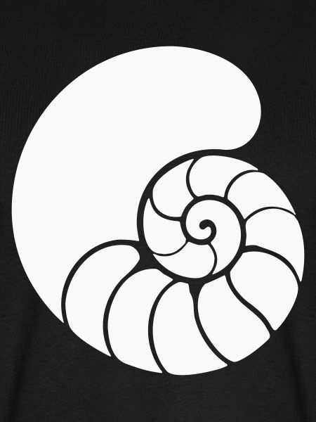  Spiralmuster Muschel