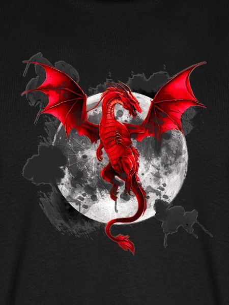 Fantasy Drache Vollmond – Aesthetic Bookish Art