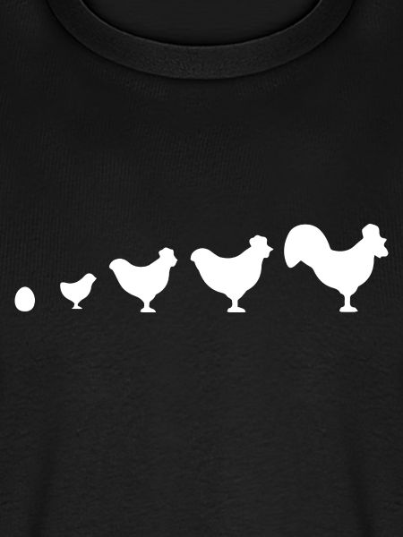 Evolution Bauer Huhn Hahn lustig
