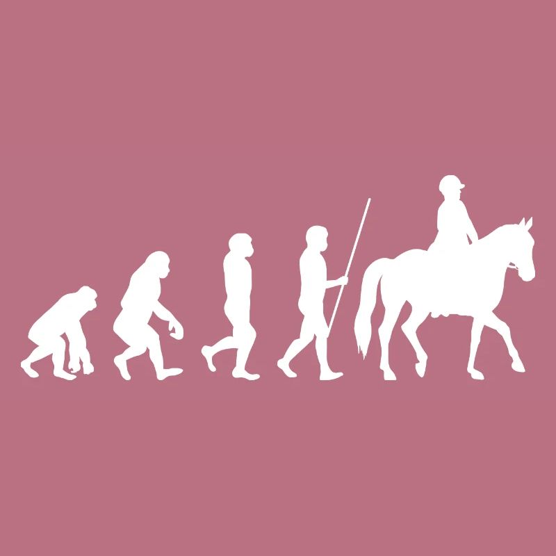 Évolution de l’équitation