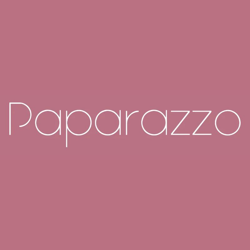 paparazzo
