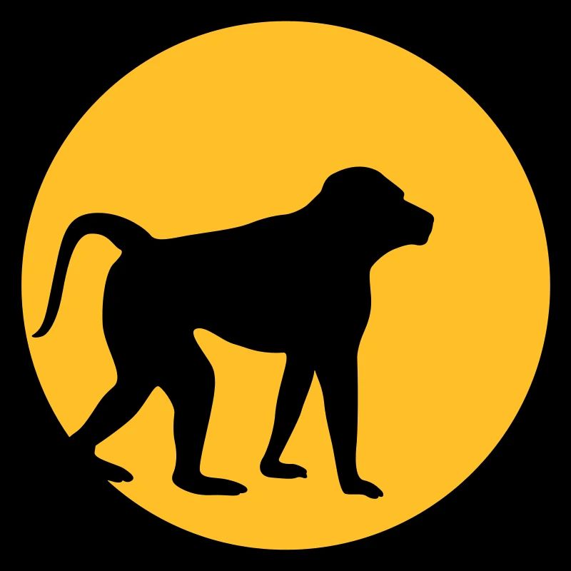 Le singe dans la lune