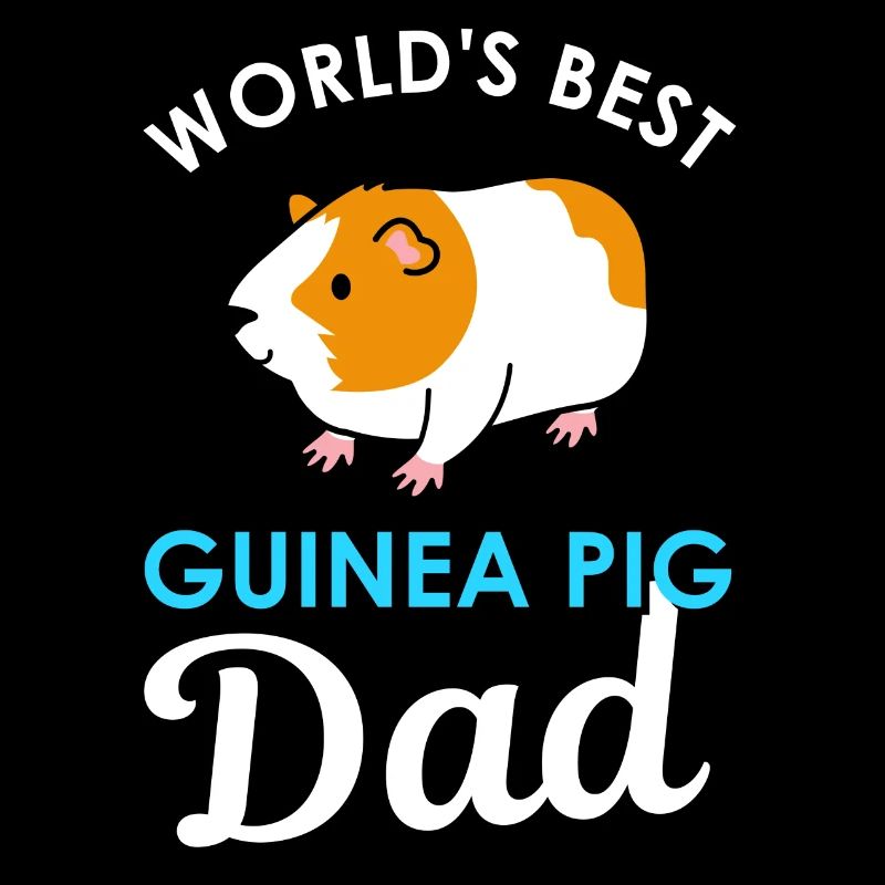guinea pig