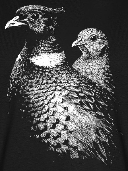 Fasan und Henne