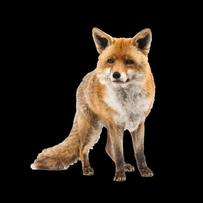 Fuchs