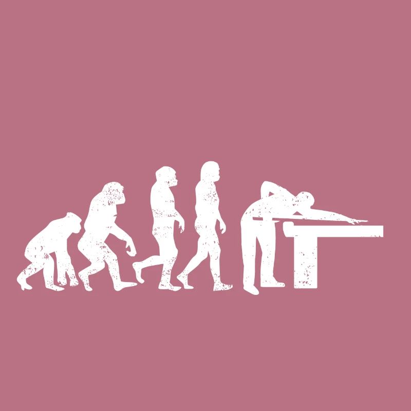 Billard evolution snooker pool geschenk billiard