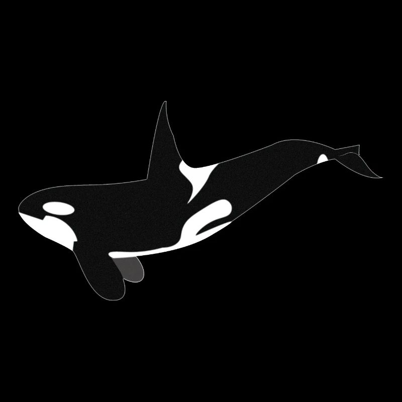 Orca Wal