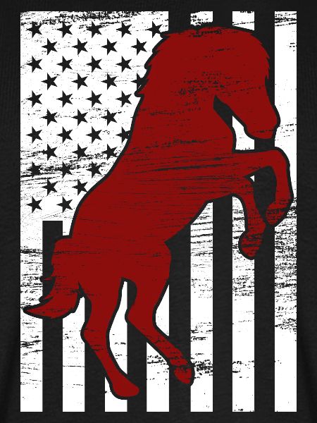 4. Juli USA Reiten
