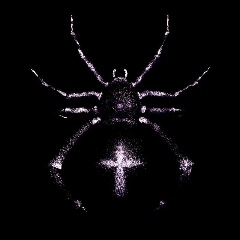 Araignée