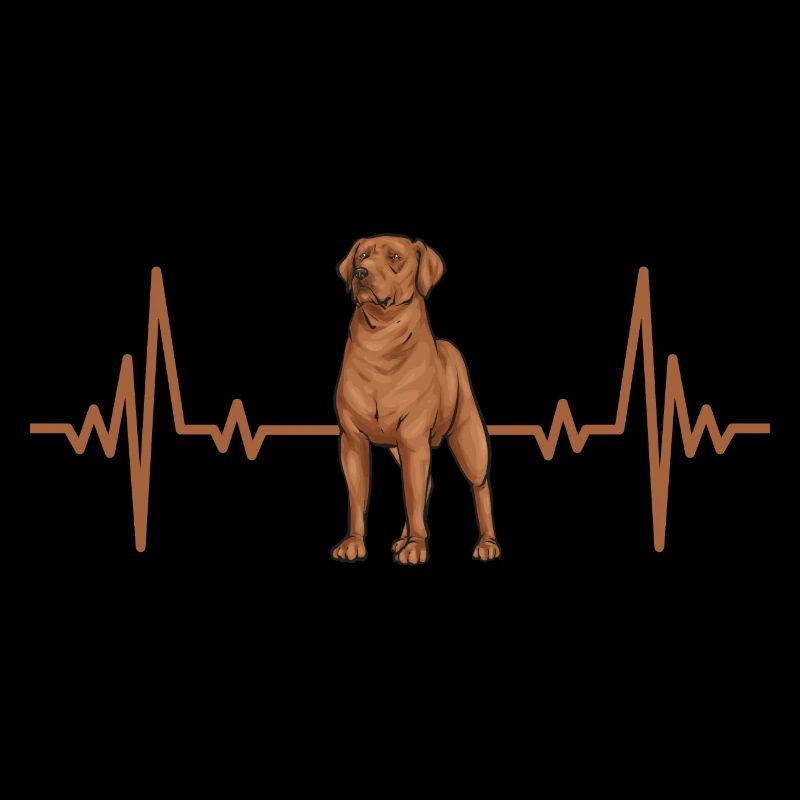 Fuchsroter Labrador Retriever Fox Red Labrador
