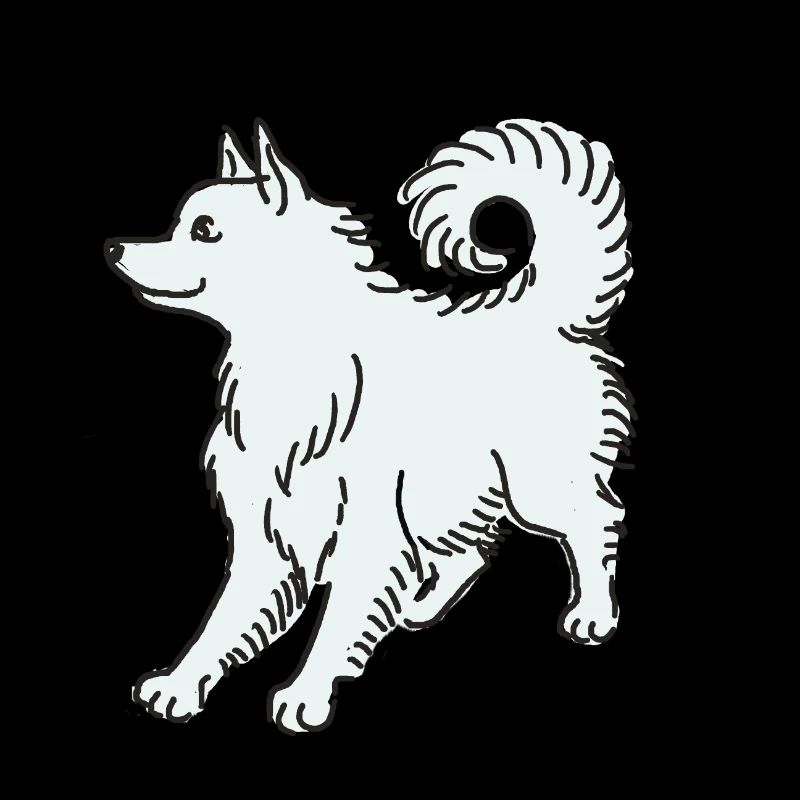 Spitz