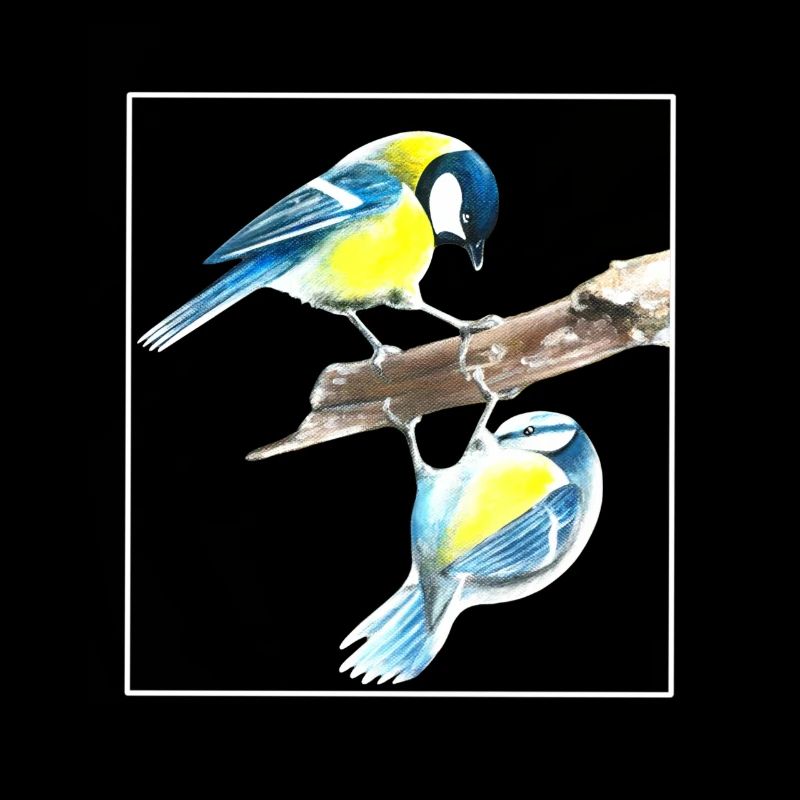 Birds