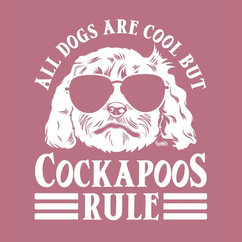 Cockapoo Dog
