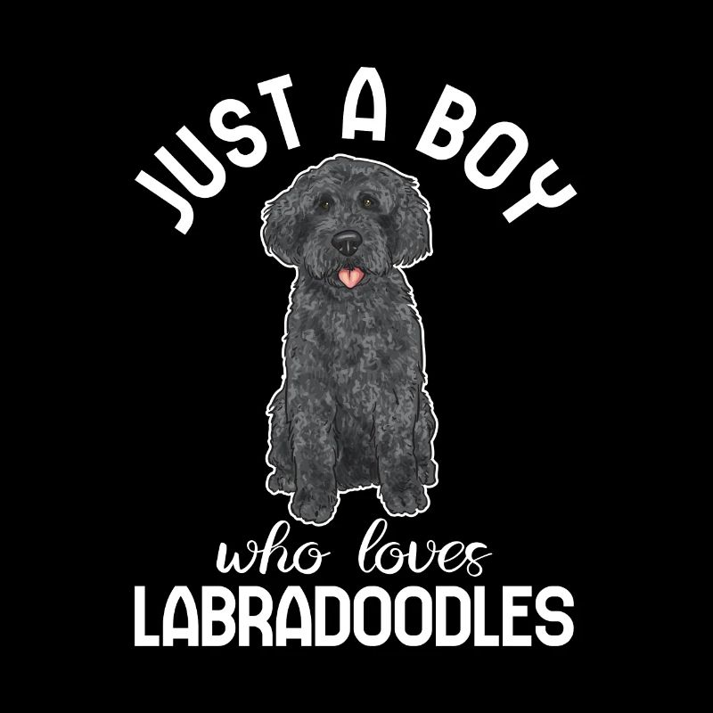 Labradoodle Hund