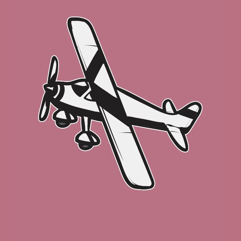 Modèle d’avion télécommandé