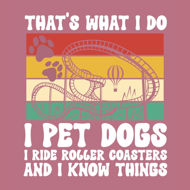 Roller Coaster Roller Coaster Amusement Park