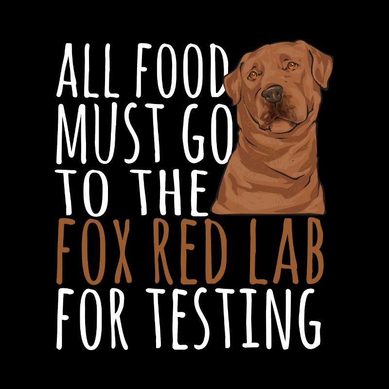 Foxred Labrador Fuchsroter Labrador Retriever