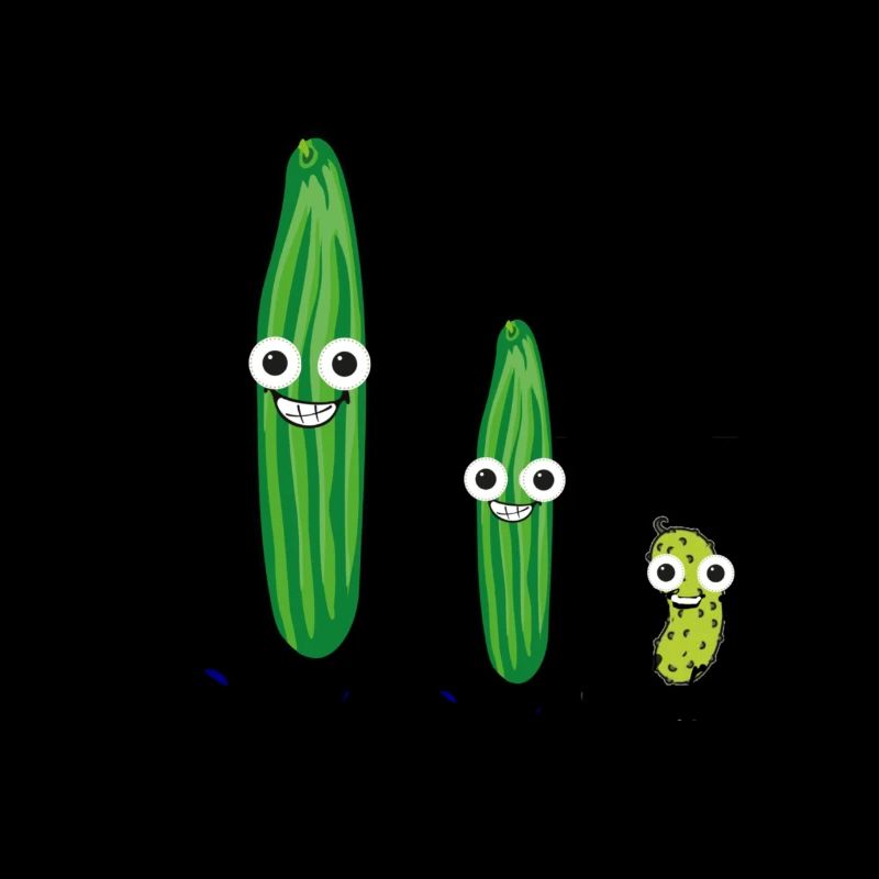 Gurkentruppe, Gurken, Chef der Gurkentruppe