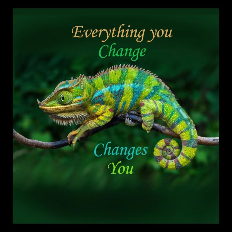 chamaeleon changer