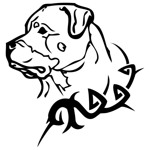 rottweiler - www.dog-power.nl - Mannen Premium T-shirt