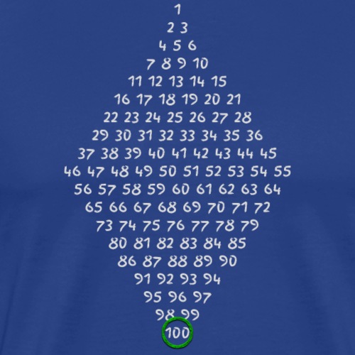 100. Geburtstag - Männer Premium T-Shirt