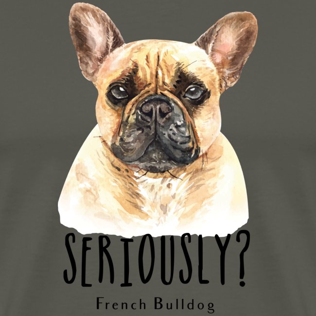 Grappige Franse Bulldog