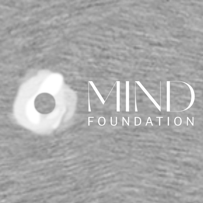 MIND Foundation Logo White