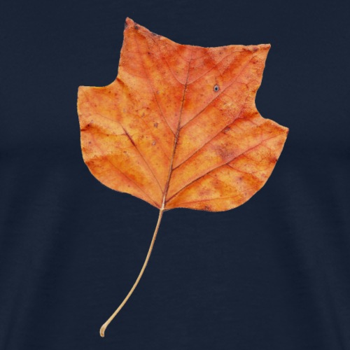Herbst-Blatt - Männer Premium T-Shirt
