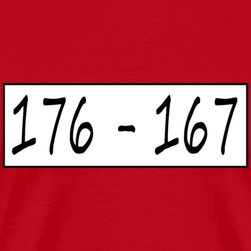 176167 - Herre premium T-shirt