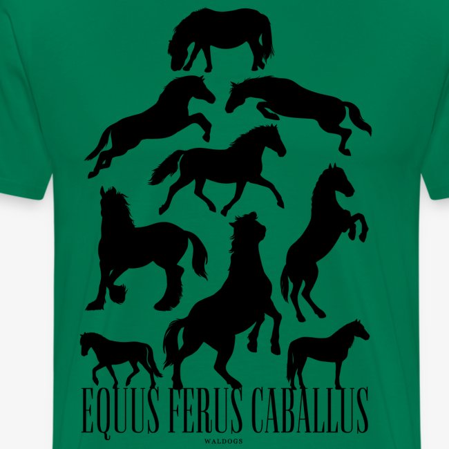 Equus Ferus Caballus Black