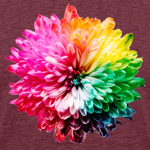 Chrysantheme Regenbogen - Männer Premium T-Shirt