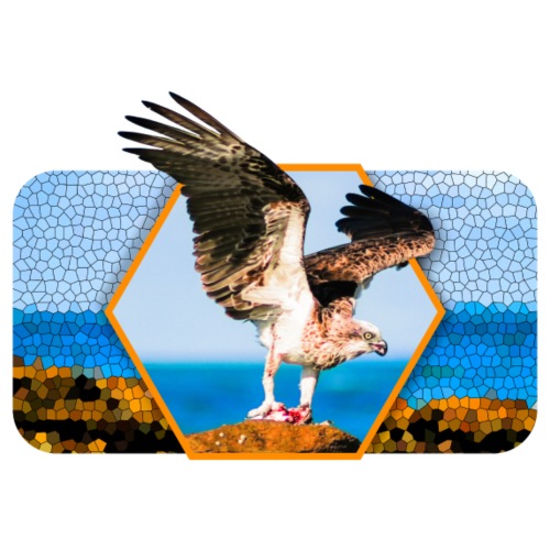 Adler mit gespreizten Flügeln und Grafik-Form