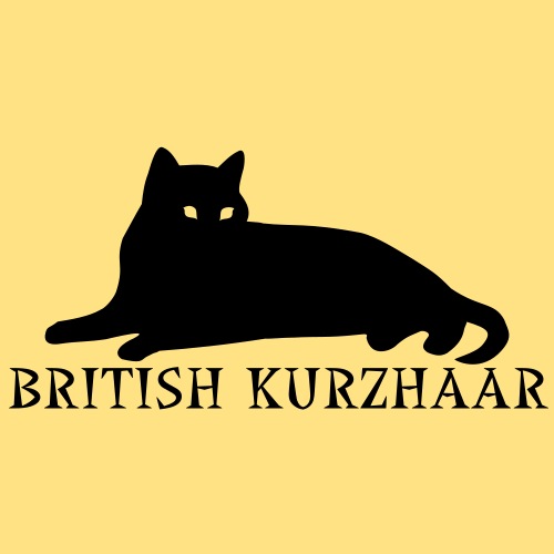 British Kurzhaar - Männer Premium T-Shirt