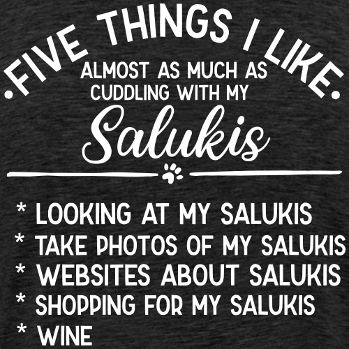 Five things I like - Saluki - Männer Premium T-Shirt